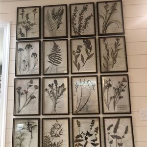 Botanical Wall Art Set